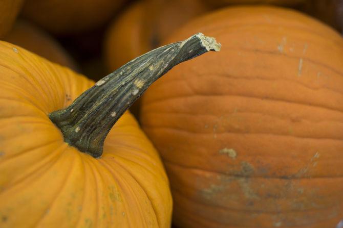 How to get the most out of your pumpkins