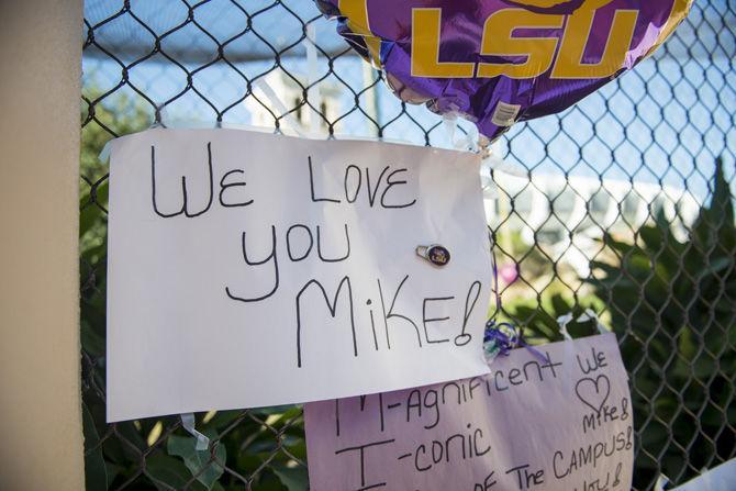 Mike's cage stands empty as he is transferred to hospice for the last time.