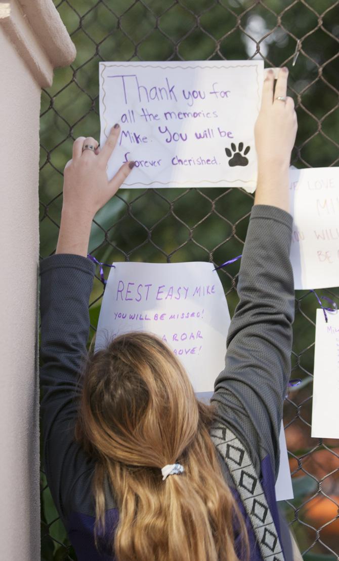 A LSU fan places a note on the outer wall of Mike VI's cage.