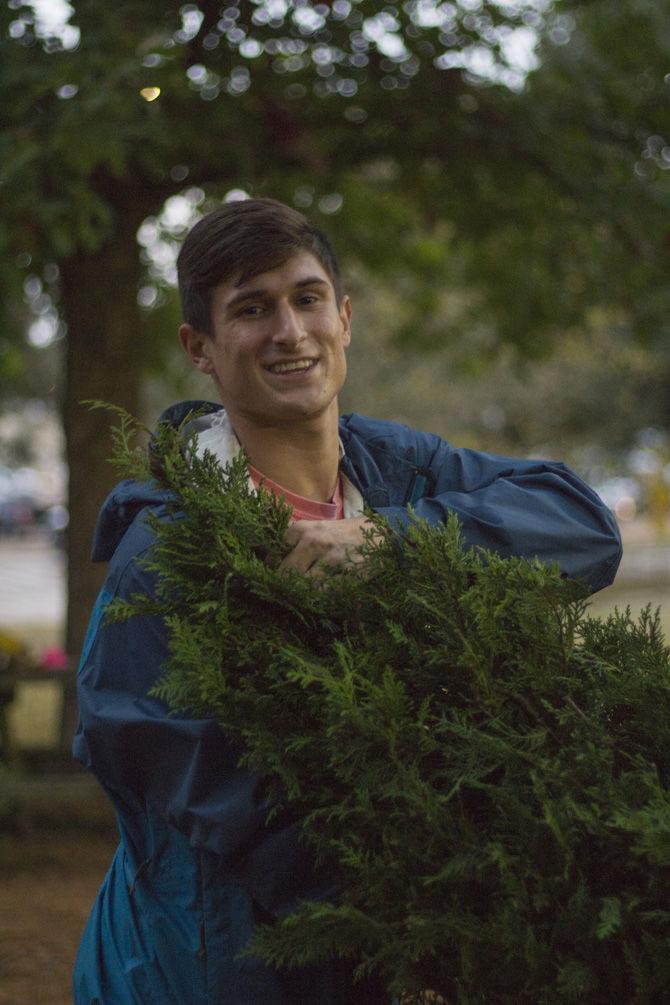 LSU foresters host annual Christmas tree sale fundraiser