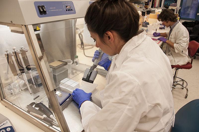 Jessica Lo Surdo, M.S. (foreground), an FDA staff scientist, studies chain reactions in stem cells in an FDA laboratory on the National Institutes of Health campus in Bethesda, Md. Ross Marklein, Ph.D., a post-doctoral research fellow (background), records findings.