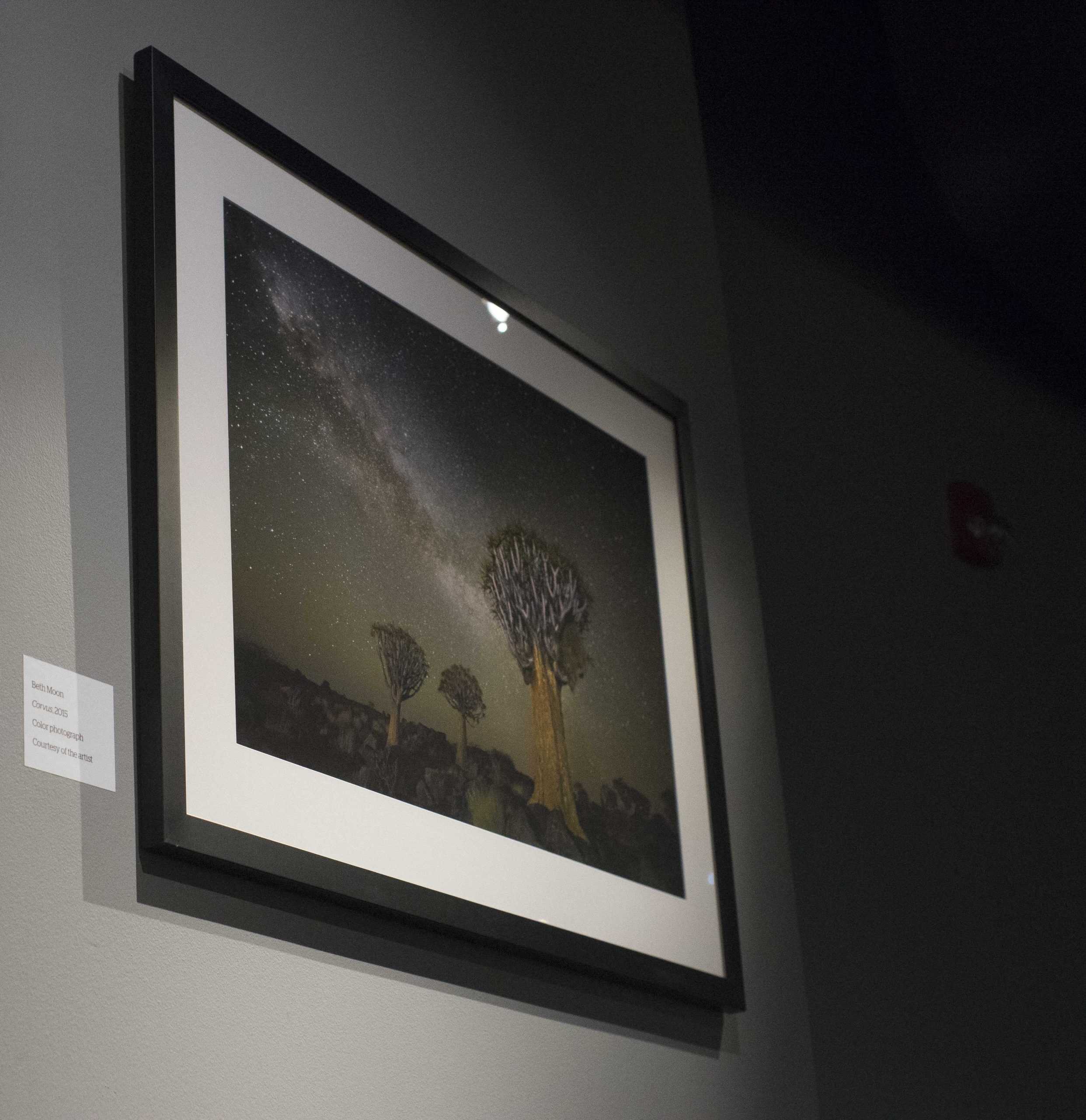 LASM displays Diamond Nights photography exhibit, connects trees to astronomy