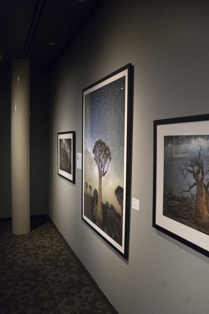 LASM displays Diamond Nights photography exhibit, connects trees to astronomy