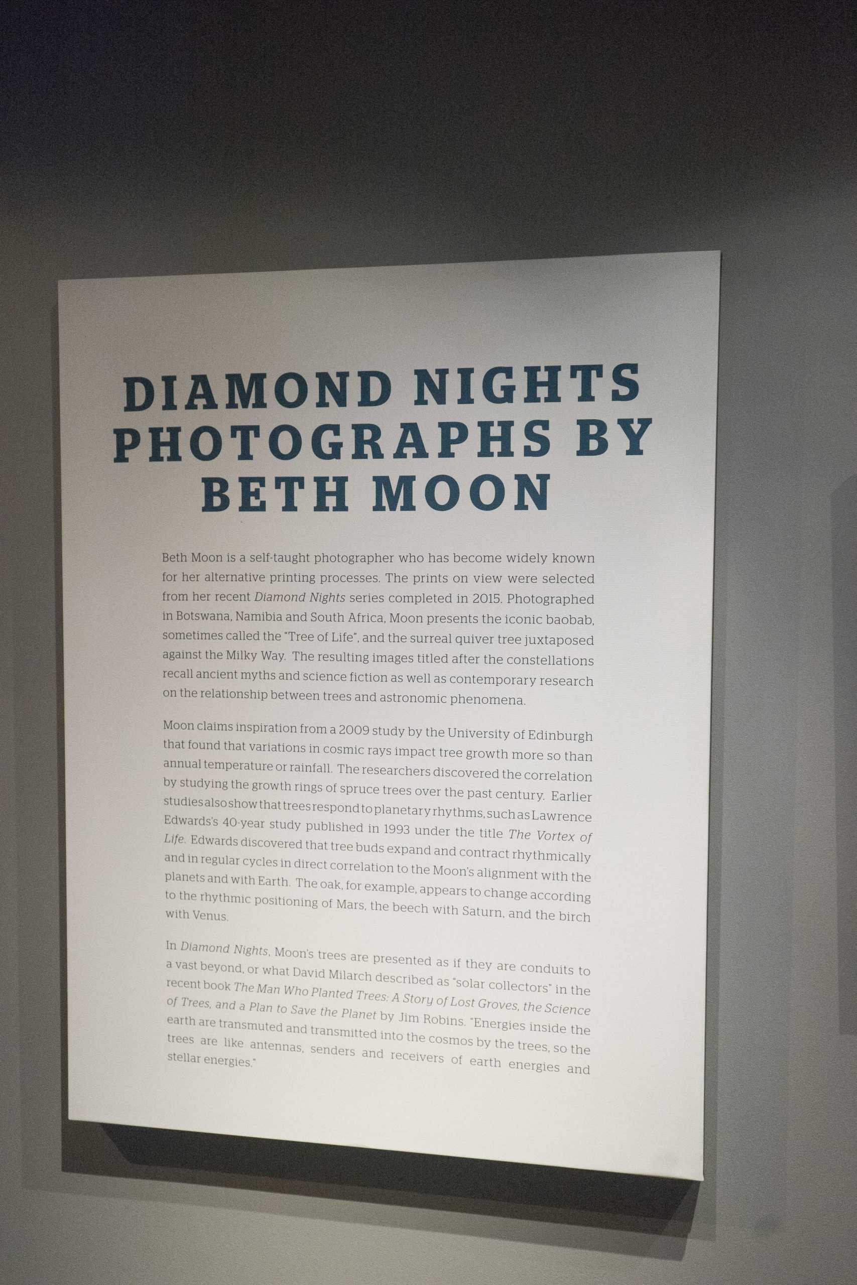 LASM displays Diamond Nights photography exhibit, connects trees to astronomy