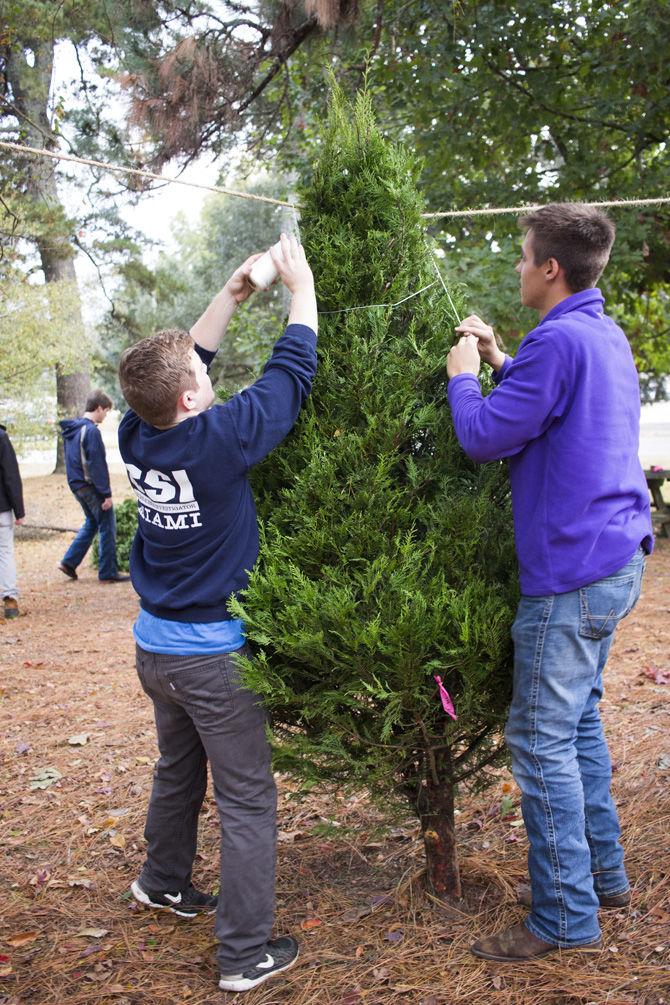 LSU foresters host annual Christmas tree sale fundraiser