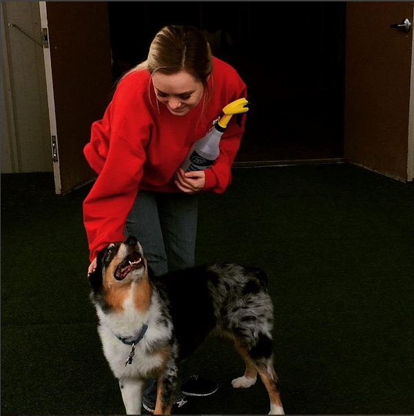 Camp Bow Wow general manager Memorie Bourgeois with Scout the camper.