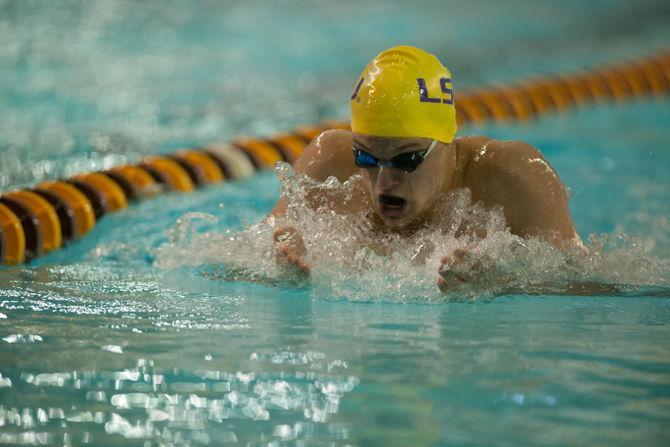 LSU Junior Swimmer Garrett House swims in the 100 Breaststroke in a LSU defeat against Texas A&amp;M on Saturday, Jan. 23, 2016 at the Natatorium