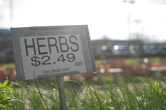 Herbs line the tables of Clegg's Nursery on Wednesday, Feb. 22, 2017 off of Siegen Lane in Baton Rouge.