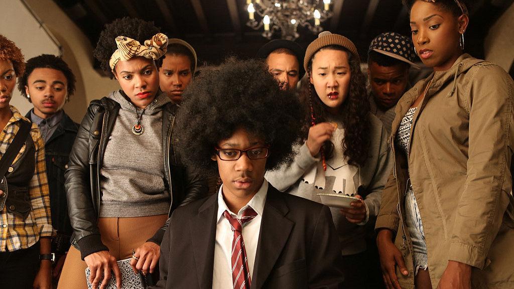 Netflix's "Dear White People" has caused boycotts from white audiences about how the show promotes white genocide.&#160;