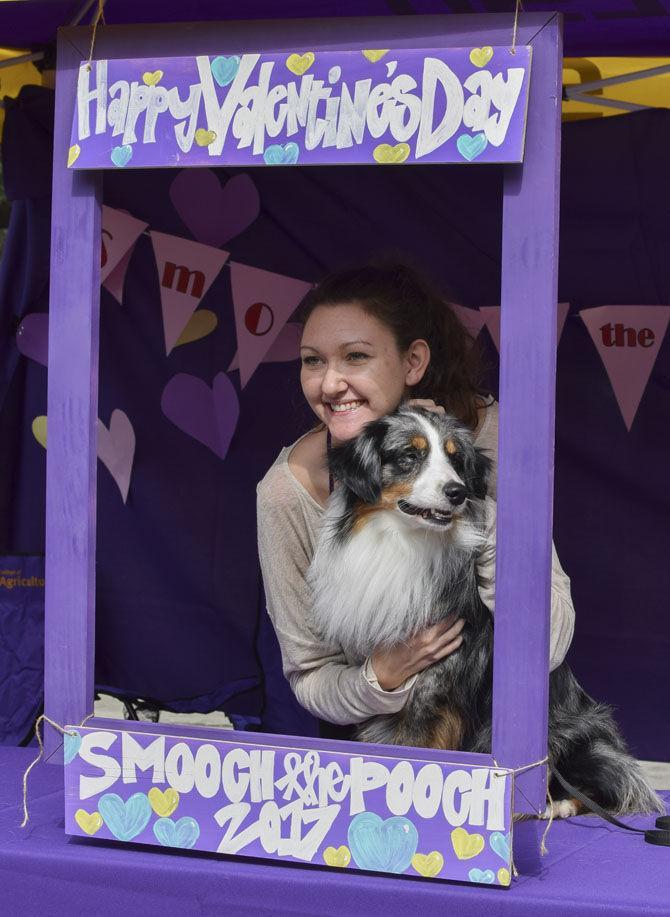 Agriculture Students Association hosts dog kissing booth for Valentine's Day