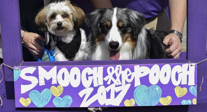 Agriculture Students Association hosts dog kissing booth for Valentine's Day