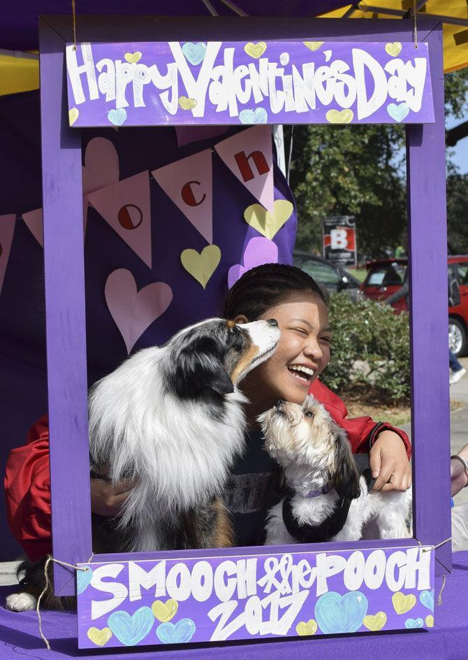 Agriculture Students Association hosts dog kissing booth for Valentine's Day