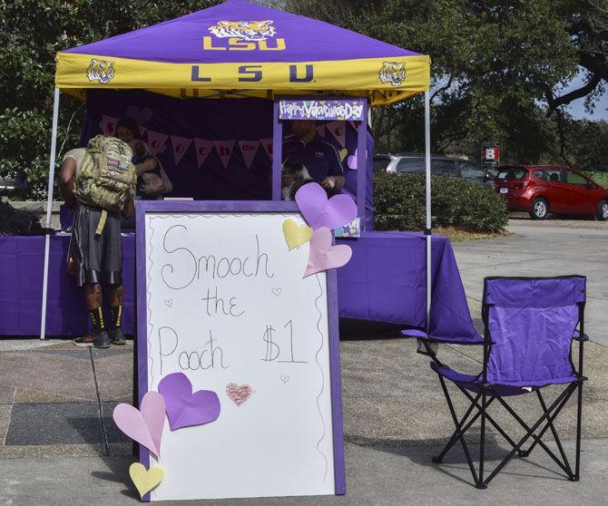 Agriculture Students Association hosts dog kissing booth for Valentine's Day