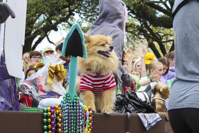 Krewe of Mutts connects community, fun for humans and pets