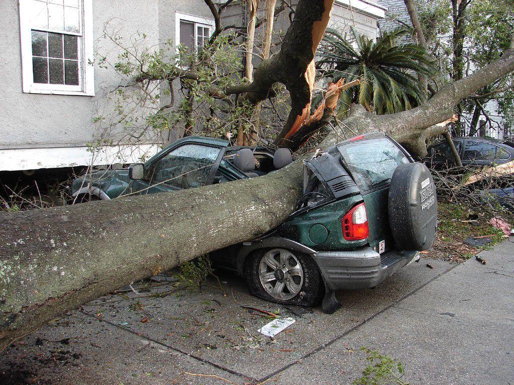 Many families in New Orleans are still homeless after the tornado that hit almost a month ago in New Orleans East.&#160;