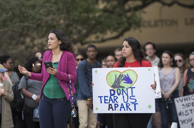 Professors take action in response to immigration executive order