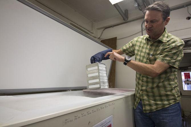 LSU researcher develops method to extract DNA from preserved extinct reptile specimens