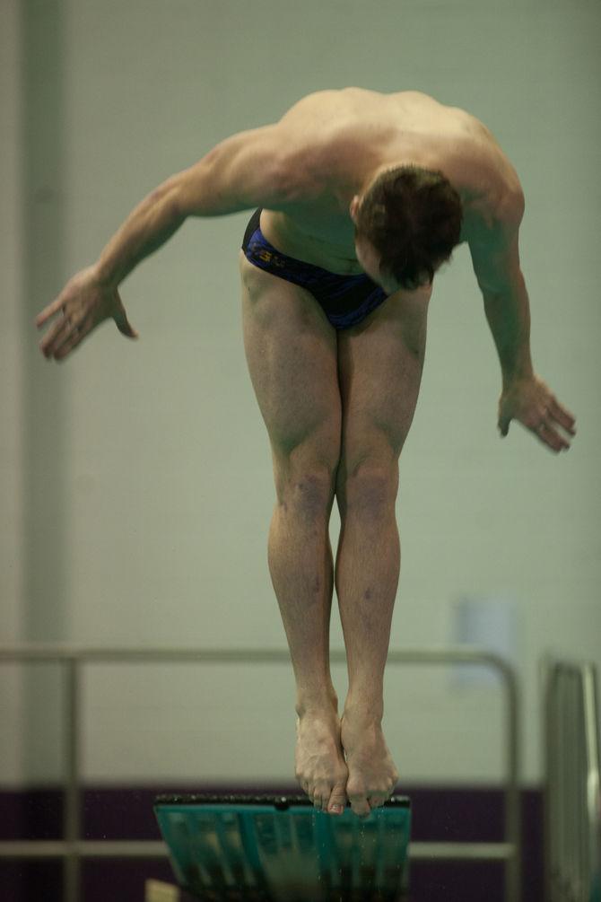 <p>LSU Freshman Diver Matthew McClellan dives in a LSU defeat against Texas A&M on Saturday, Jan. 23, 2016 at the Natatorium</p>