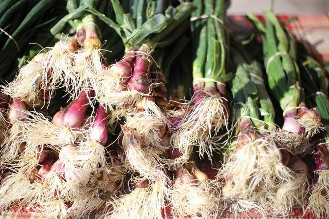 Homegrown: Sustainable farming, personal gardens allow students to eat locally