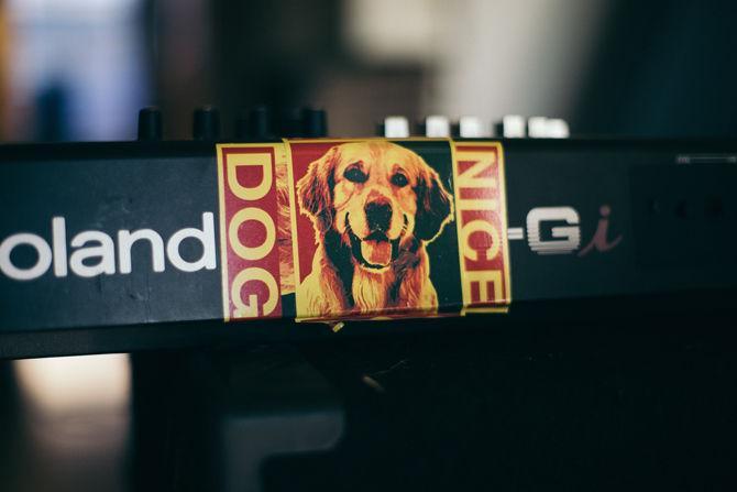 Nice Dog has album in the works, local shows