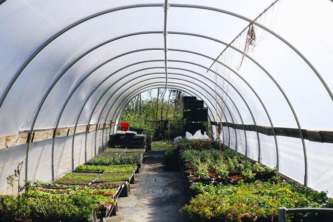 Homegrown: Sustainable farming, personal gardens allow students to eat locally