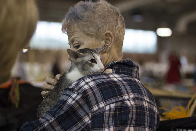 Greater Baton Rouge Cat Show featured over 200 cats, encouraged adoption