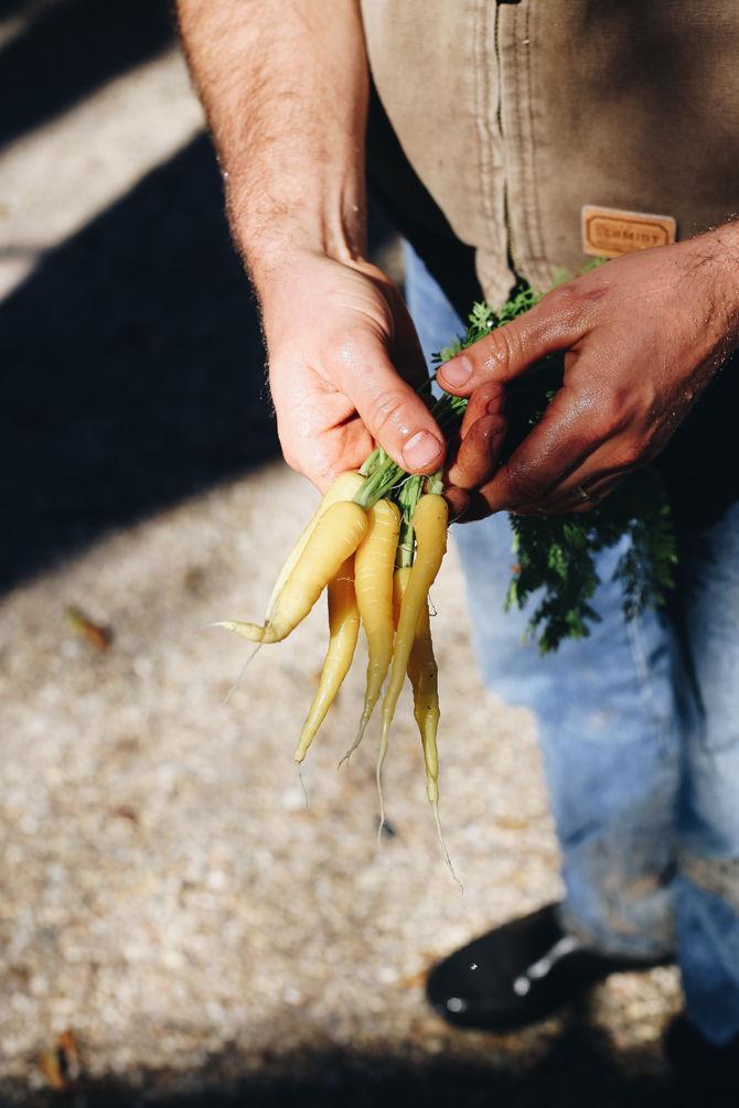 Homegrown: Sustainable farming, personal gardens allow students to eat locally