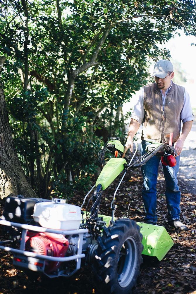 Homegrown: Sustainable farming, personal gardens allow students to eat locally