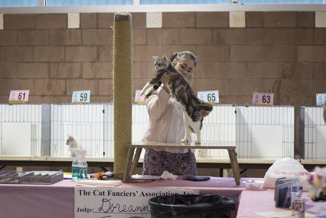 Greater Baton Rouge Cat Show featured over 200 cats, encouraged adoption