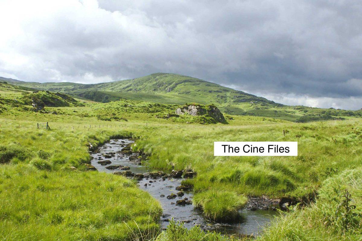 the cine files