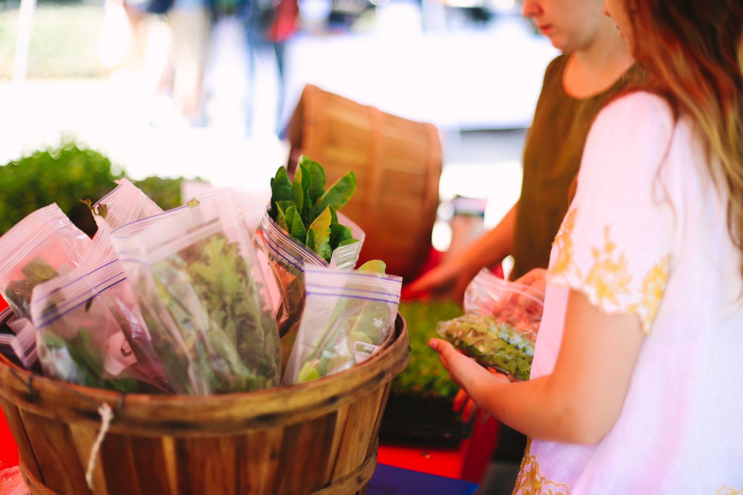 Students grow, sell produce in Hill Farm farmer's market