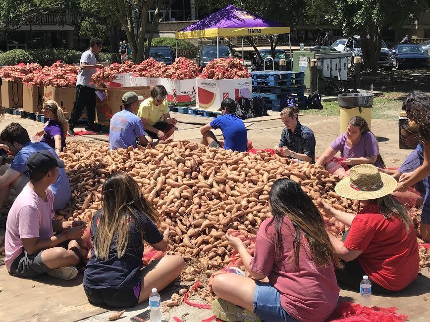 LSU students host annual Potato Drop, assist Greater Baton Rouge Food Bank