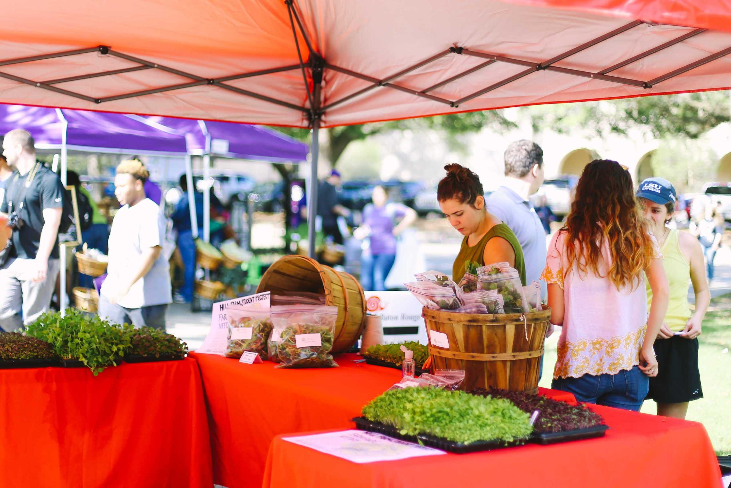 Students grow, sell produce in Hill Farm farmer's market