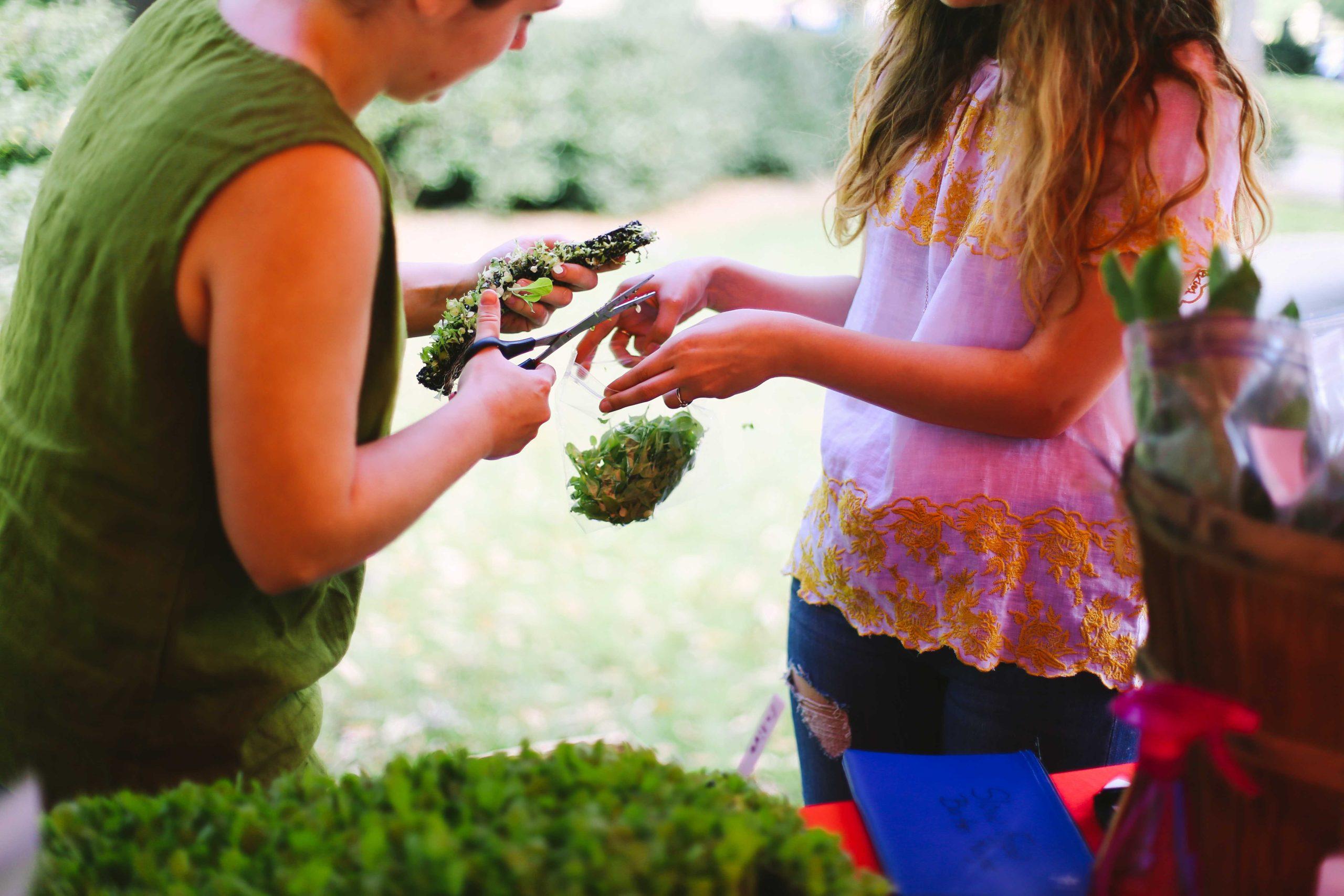 Students grow, sell produce in Hill Farm farmer's market