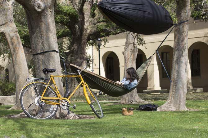 Students enjoy the beautiful spring weather in their hammocks on Wednesday, February 24, 2016 at the Quad.