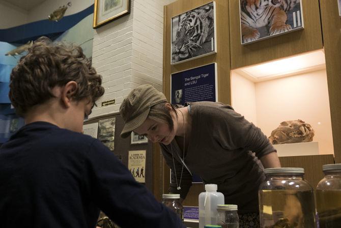 A boy examines the specimens on biological sciences graduate student Genevieve Mount's table during the "Night at the Museum" program on Thursday, April 6, 2017 at the LSU Museum of Natural Science in Foster Hall.