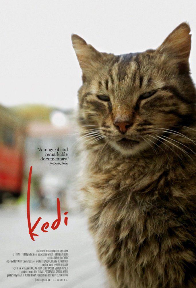 "Kedi," directed by Ceyda Torun, tells the tale of an ancient city and its people through the eyes of cats.&#160;