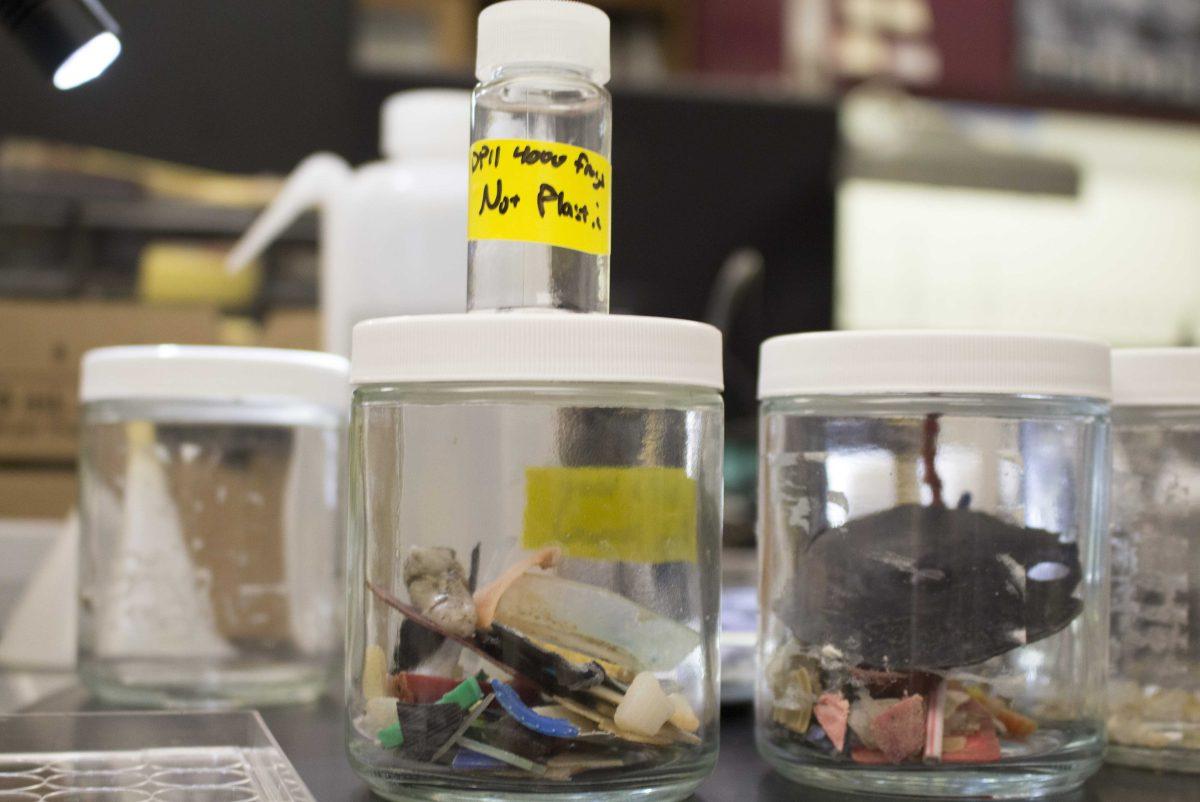 Samples from plastic in the ocean are collected and sorted in jars at the University's Energy, Coast and Environment Building on Sept. 18, 2017.