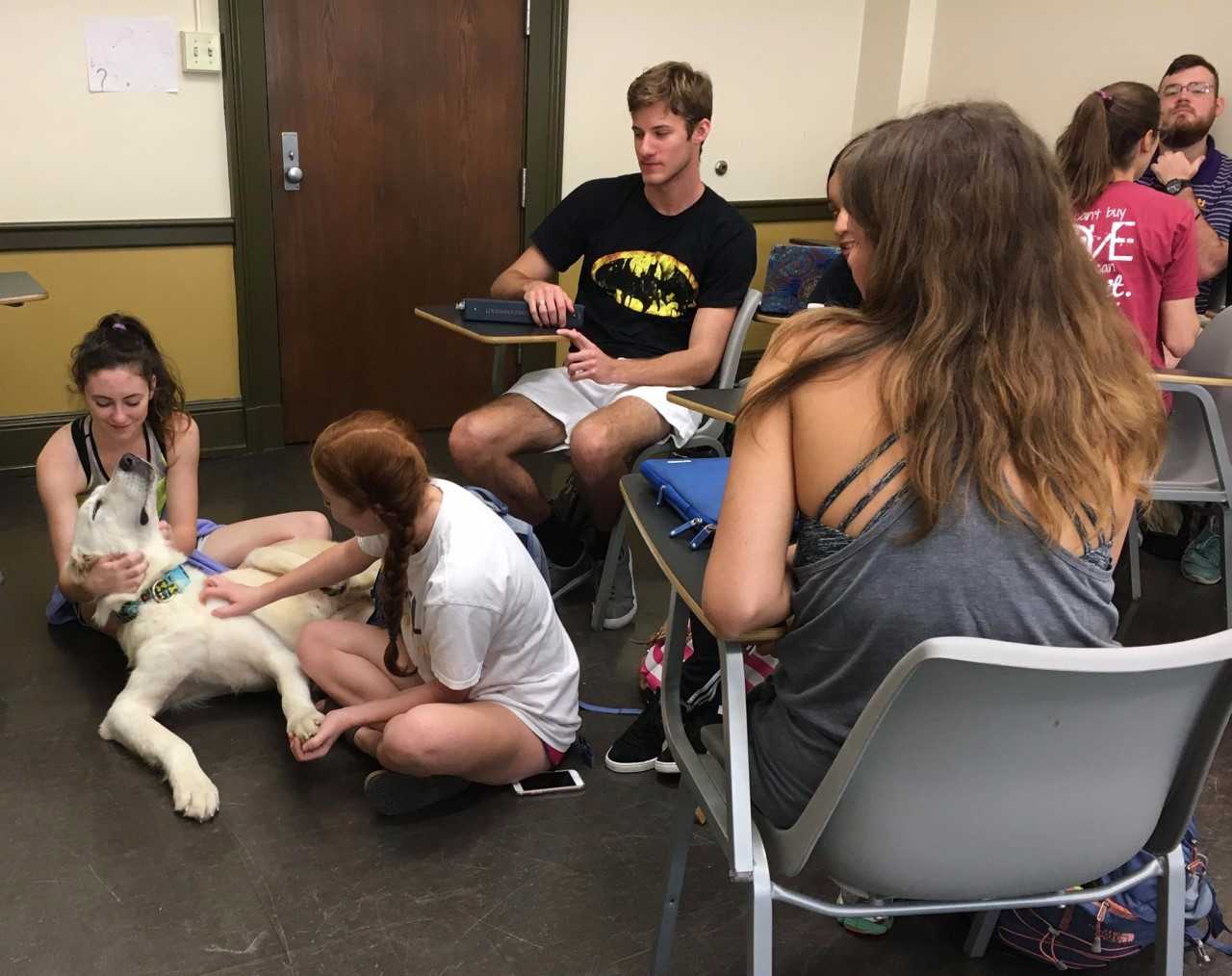 English class helps local pets get adopted