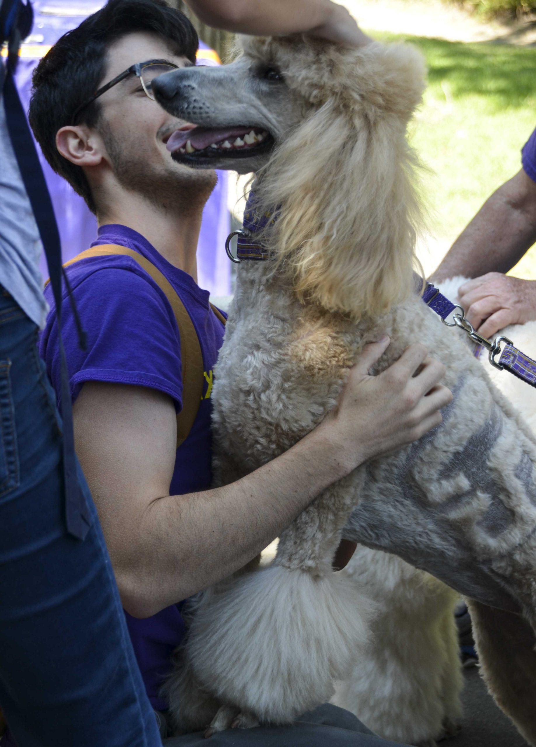 LSU Tiger HATS demonstrates benefits of human-animal interaction