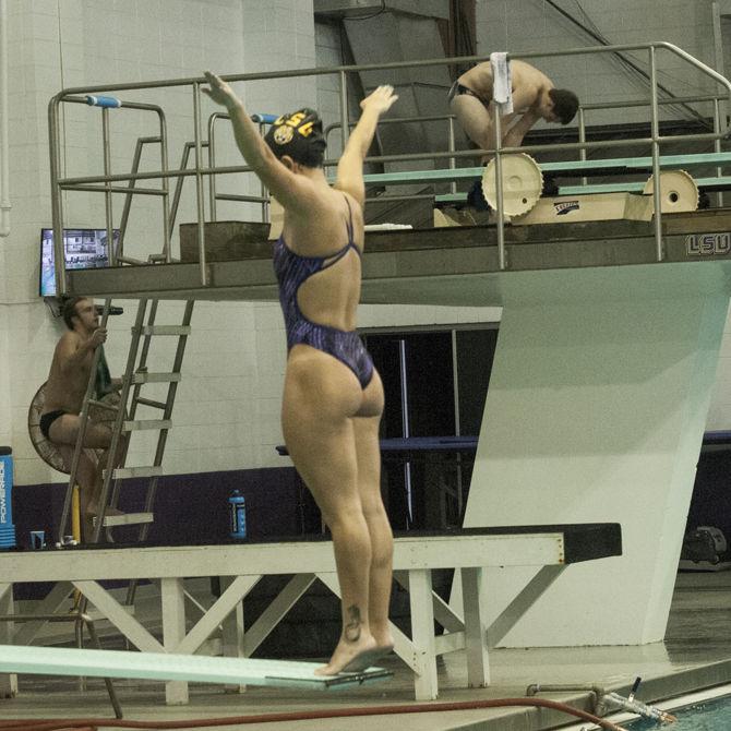 Lizzie Cui junior diver prepares to dive on Monday, Sept. 18, 2017 in the LSU Natatorium.