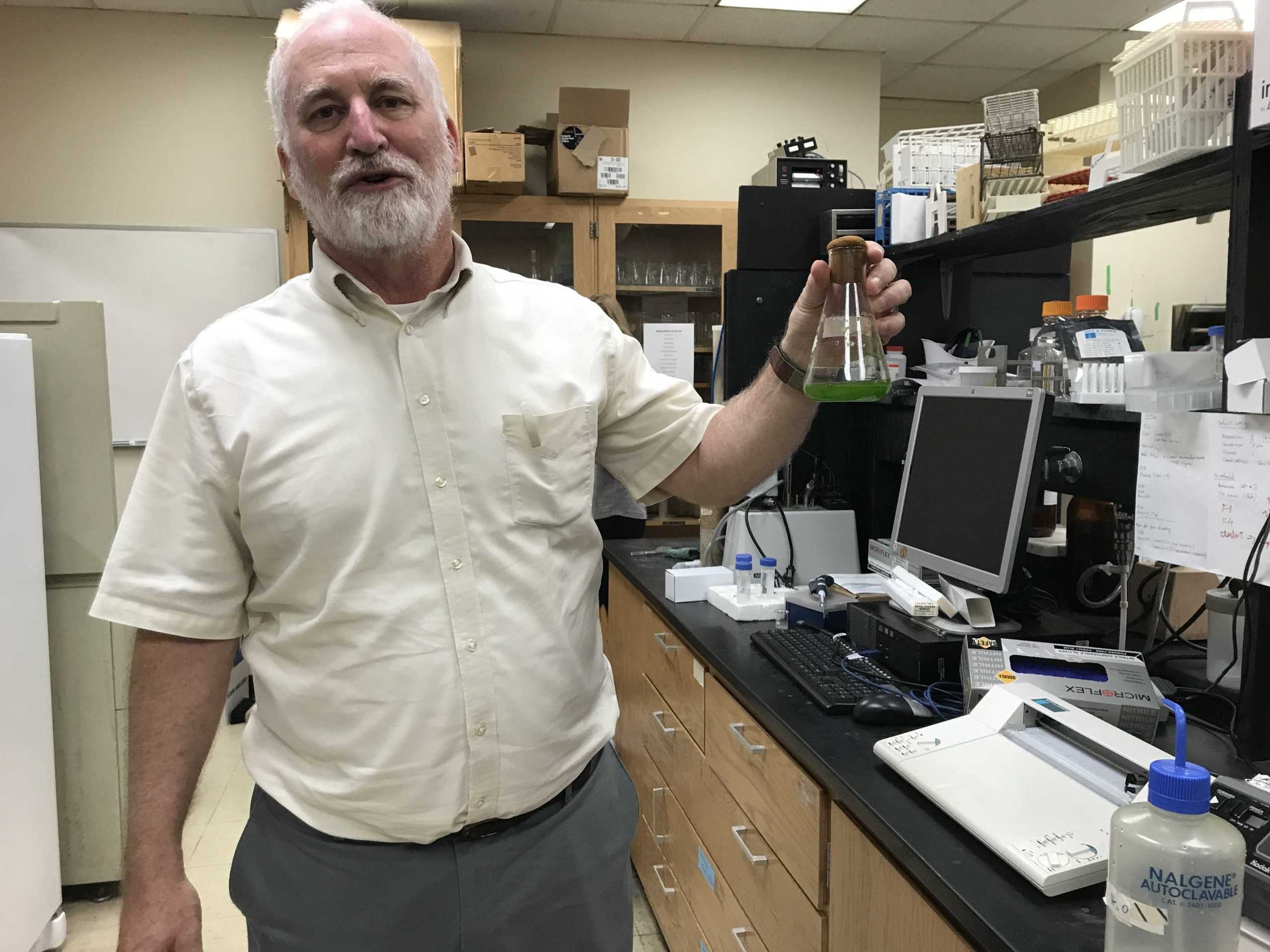 LSU professor works to solve future food crisis