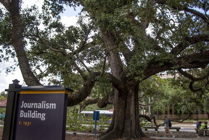 LSU 'Endow an Oak' program aims to preserve beauty of campus