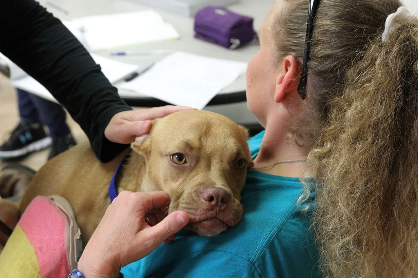 LSU alumna rescues people and pets after devastating storms