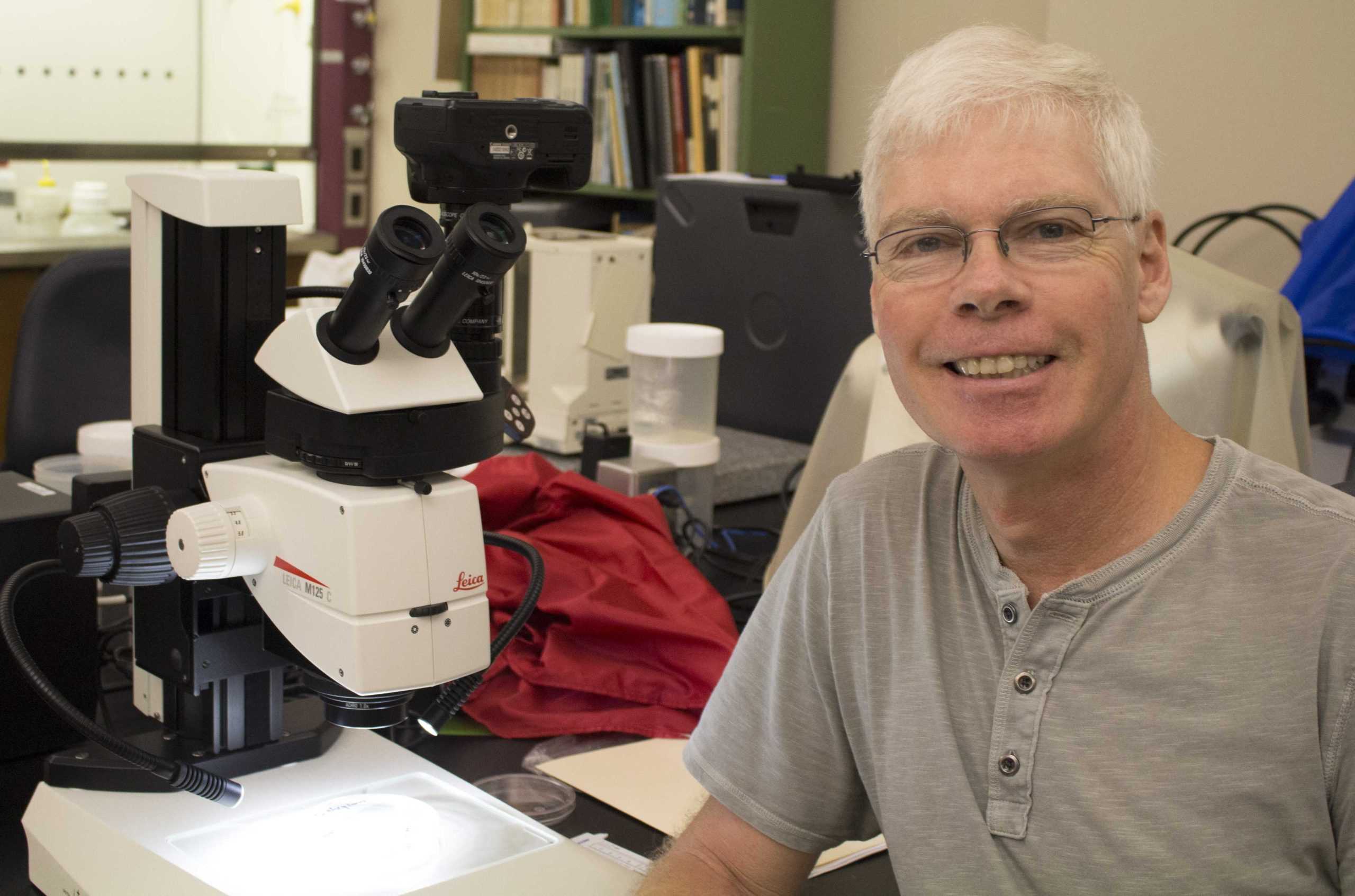 LSU scientists study the impacts of plastic in the Gulf of Mexico