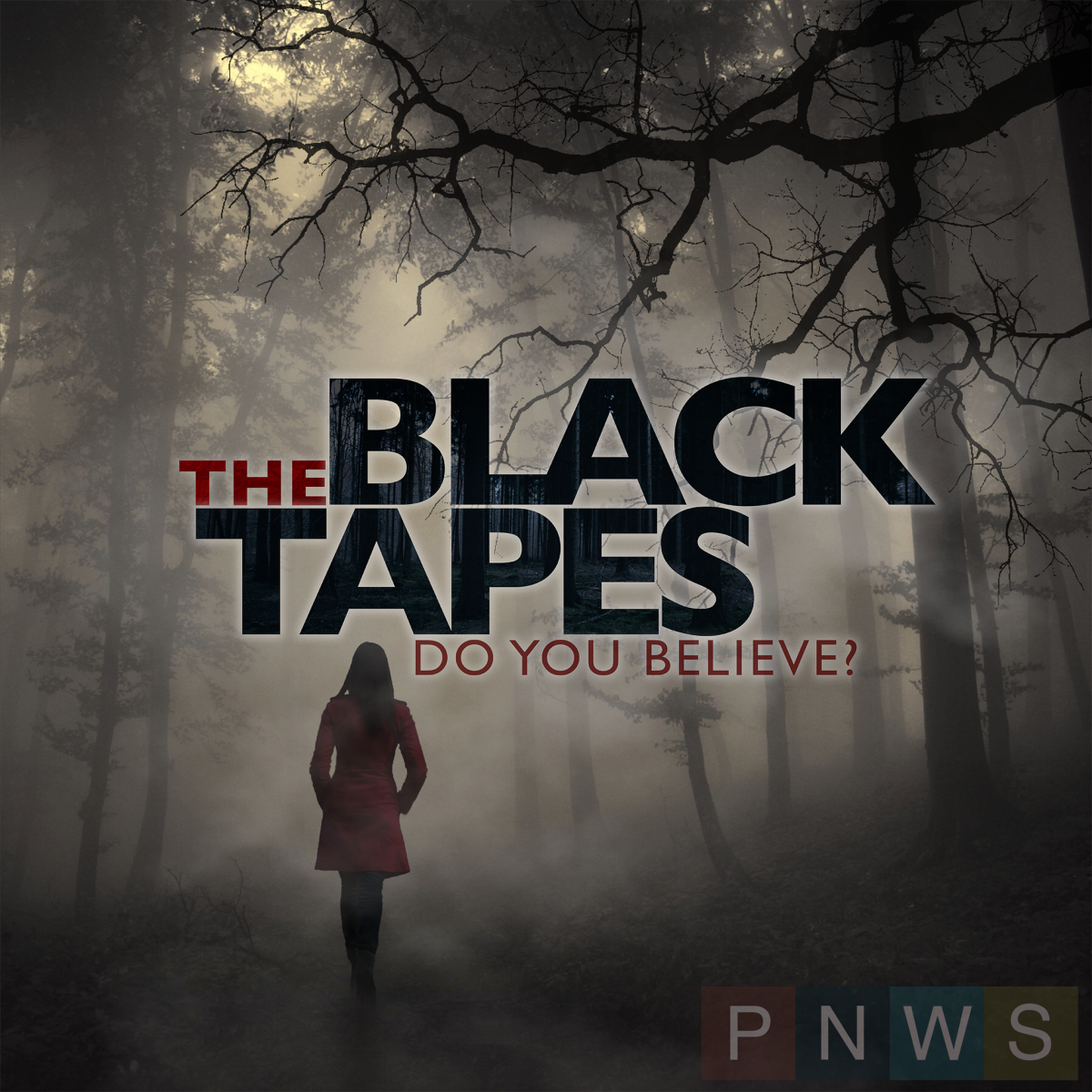 The Black Tapes podcast