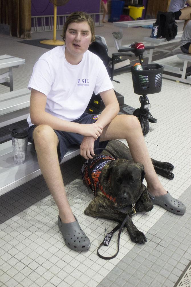 LSU swim team manager Kayne Finley sits with his service dog in the Natatorium, on Wednesday Oct. 4, 2017.