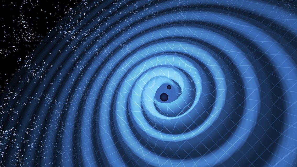 This illustration shows the merger of two black holes and the gravitational waves that ripple outward as the black holes spiral toward each other. The black holes &#8212; which represent those detected by LIGO on Dec. 26 &#8212; were 14 and eight times the mass of the sun, until they merged, forming a single black hole 21 times the mass of the sun.