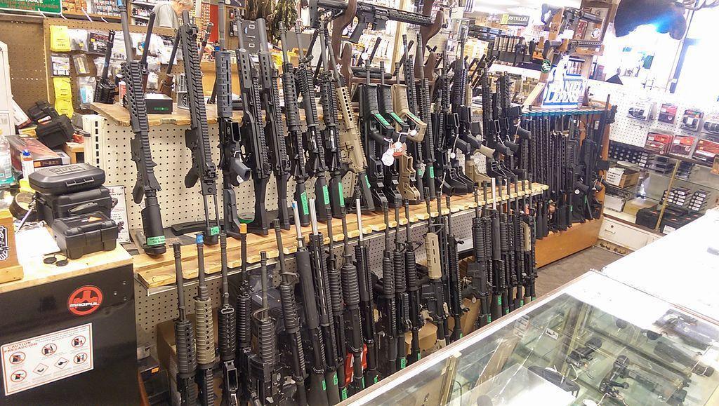 Opinion: Hoarding explains increased firearm stock prices after shootings