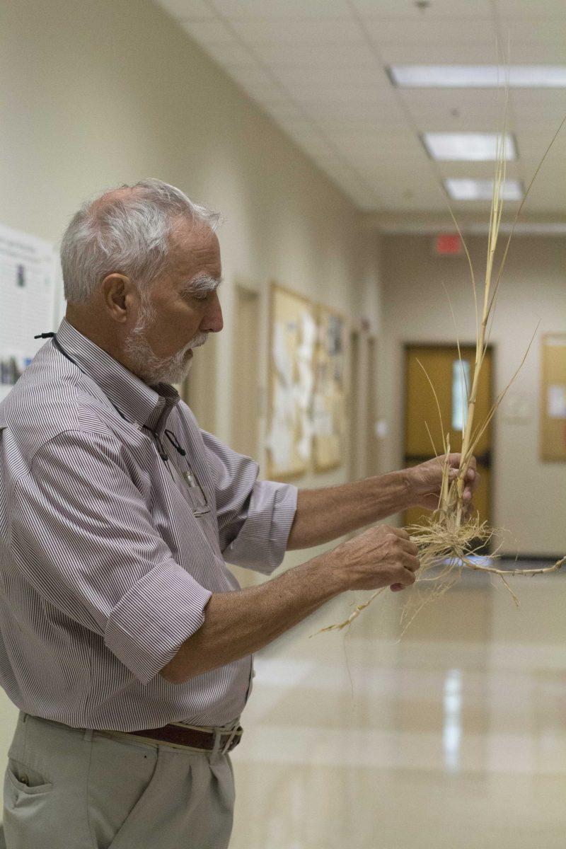 University professor R. Eugene Turner discusses his research on oil spills and their effects on Louisiana's marshes, with emphasis on Deepwater Horizon, at the University's Energy, Coast and Environment Building on Oct. 2, 2017. Turner holds a root sample from his field work.